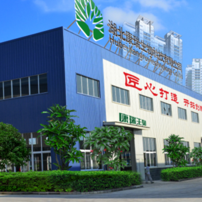 当非遗浓缩丸走进现代车间：古老技艺的产业化新生(图1)